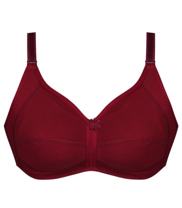 سوتین زنانه بدون فنر نخی پانیذ کد ۳۱۷۱|12 عددی