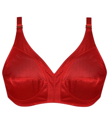 سوتین زنانه پانیذ کد 77355|12 عددی